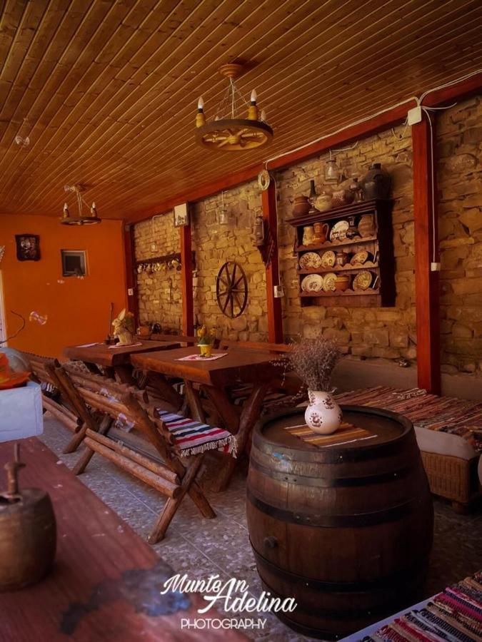 Casa Pe Valea Hartibaciului Guest House Barcut Luaran gambar