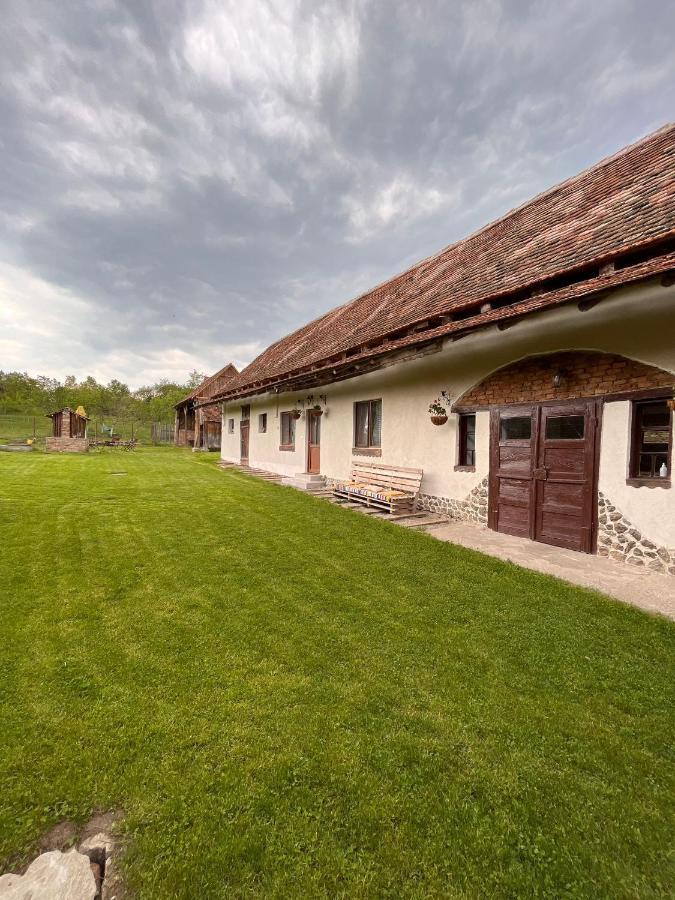 Casa Pe Valea Hartibaciului Guest House Barcut Luaran gambar