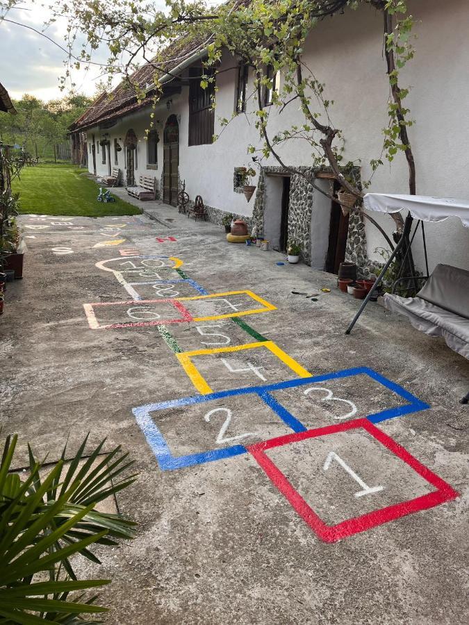 Casa Pe Valea Hartibaciului Guest House Barcut Luaran gambar