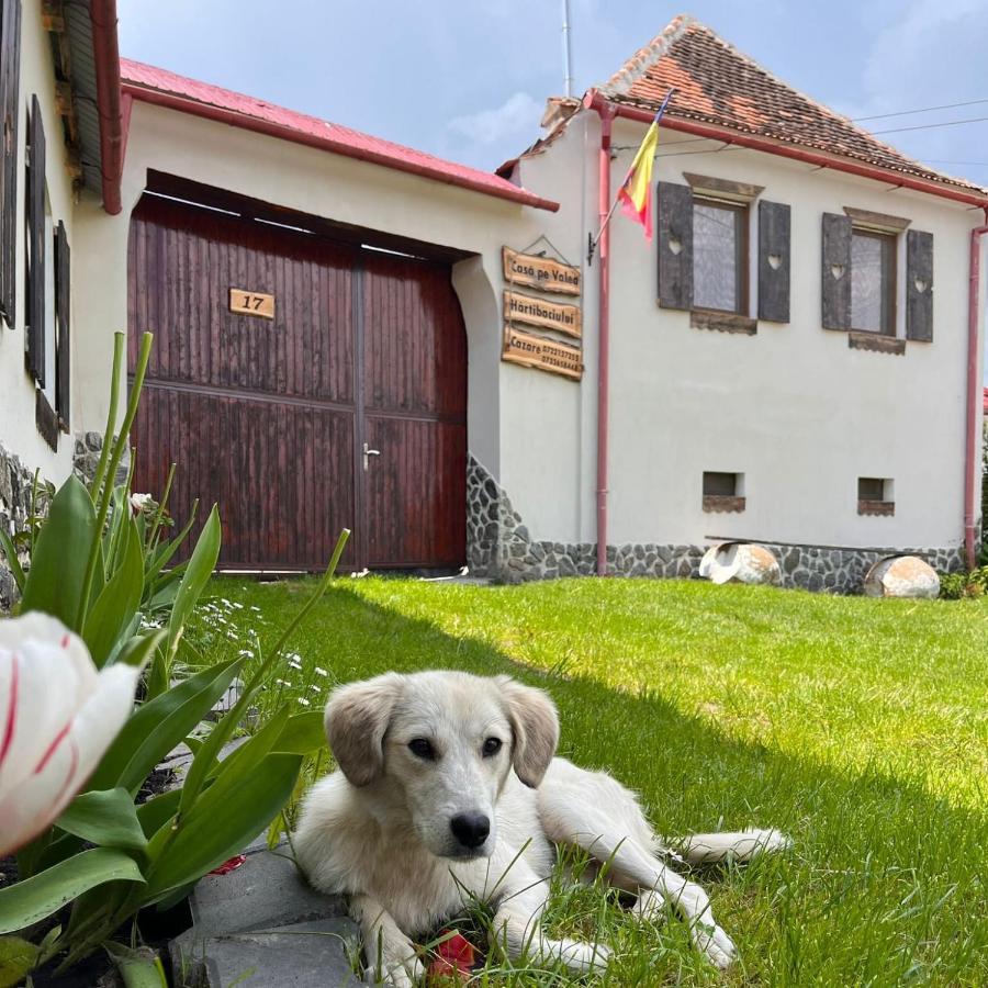 Casa Pe Valea Hartibaciului Guest House Barcut Luaran gambar