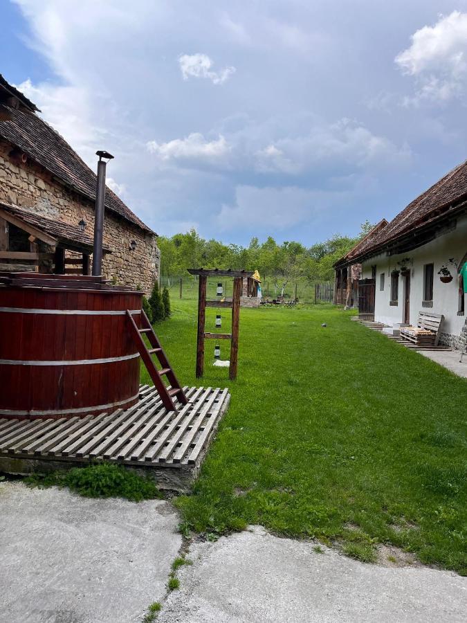 Casa Pe Valea Hartibaciului Guest House Barcut Luaran gambar